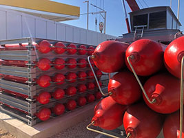 ���������, ����