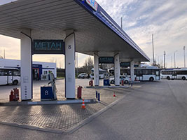 ���������, ����