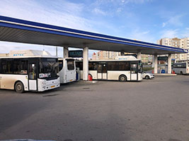 ���������, ����